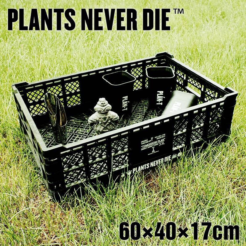 反戦鉢　plants never die