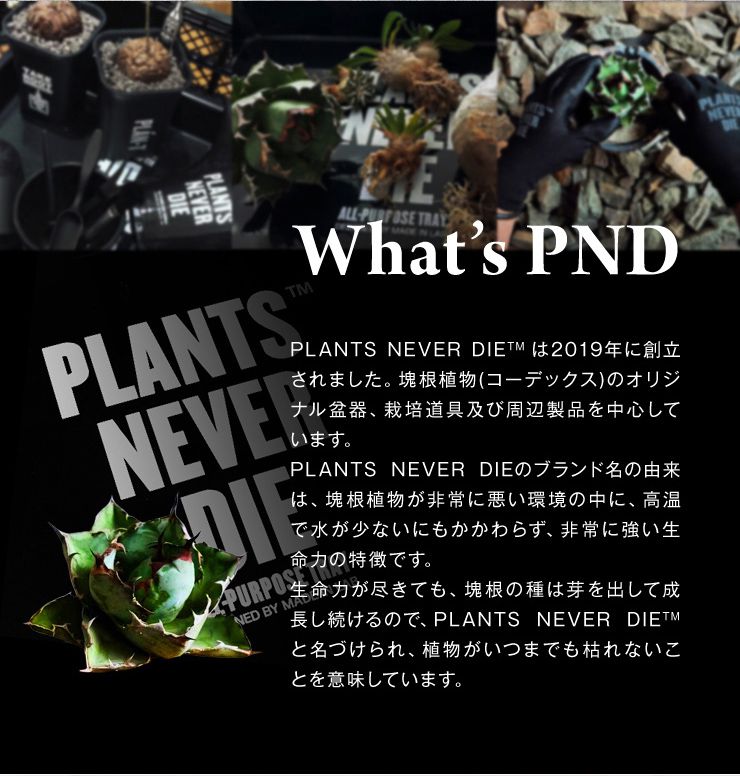 Plants Never Die ラグ マット - ラグ・カーペット