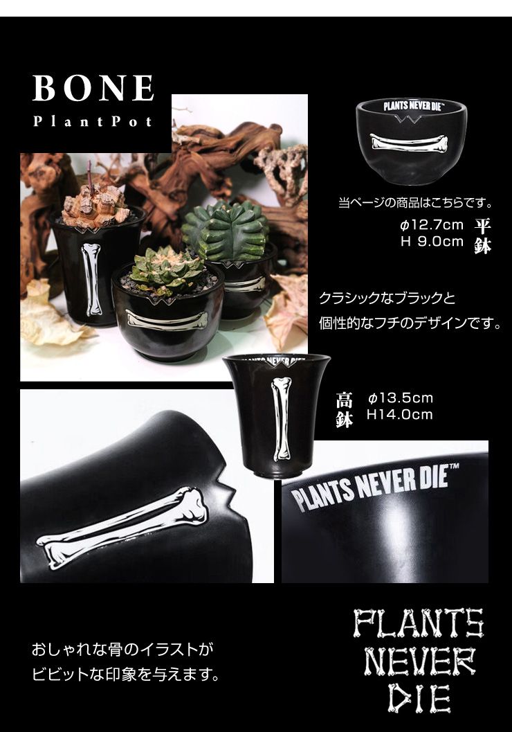 plants never die】【正規販売店】 骨平鉢 W12.7cm×H9cm 鉢植え