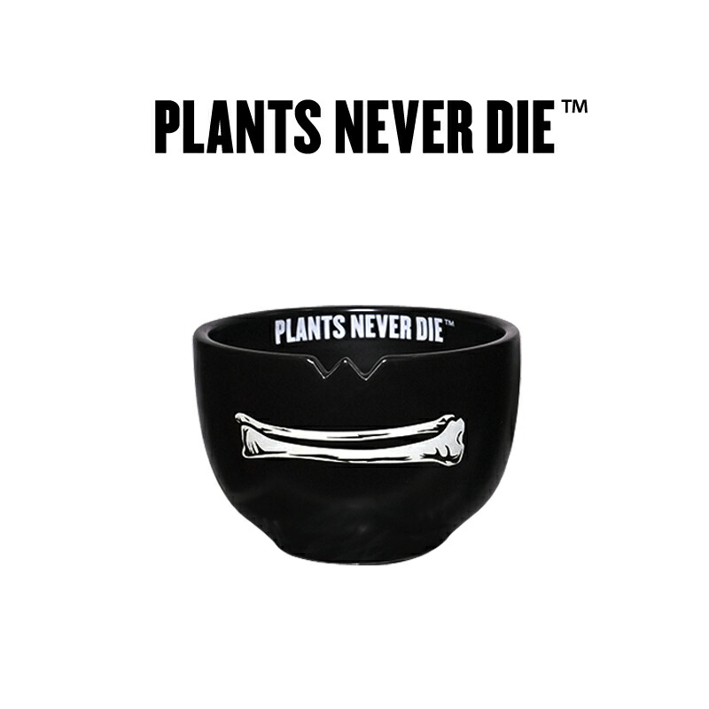 plants never die】【正規販売店】 骨平鉢 W12.7cm×H9cm 鉢植え