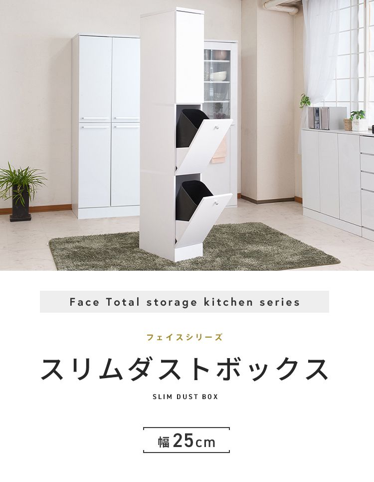 Face ダストボックス 幅25 ゴミ箱 コンパクト スリム 2分別 ホワイト