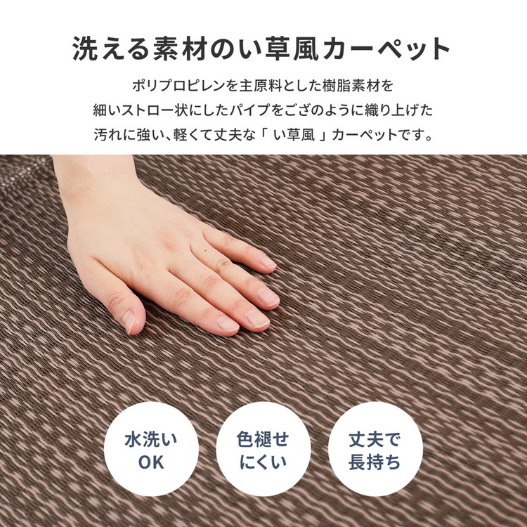 ラグマット 団地間10畳 約425×340cm ござ 洗える 日本製 除菌スプレー